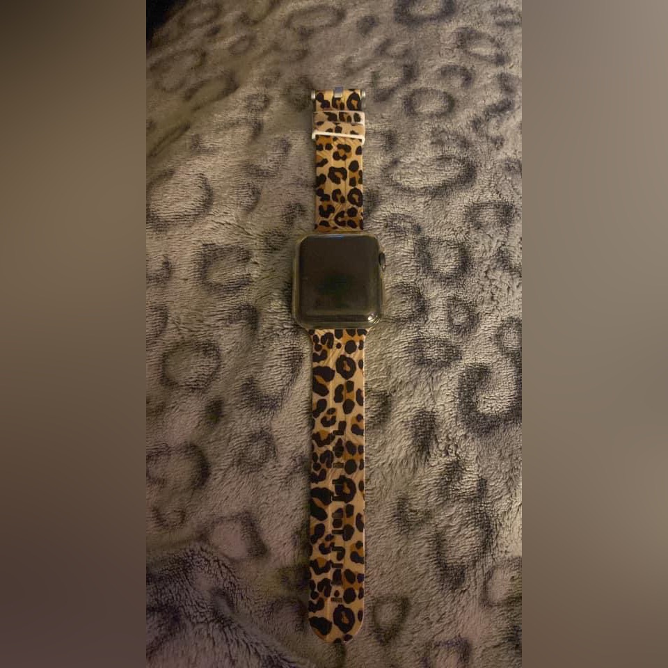 Apple Watch Series 3